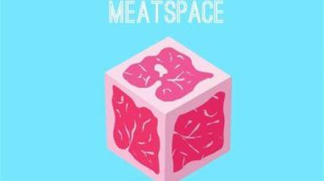 Week 8 –  Liking Meatspace Press